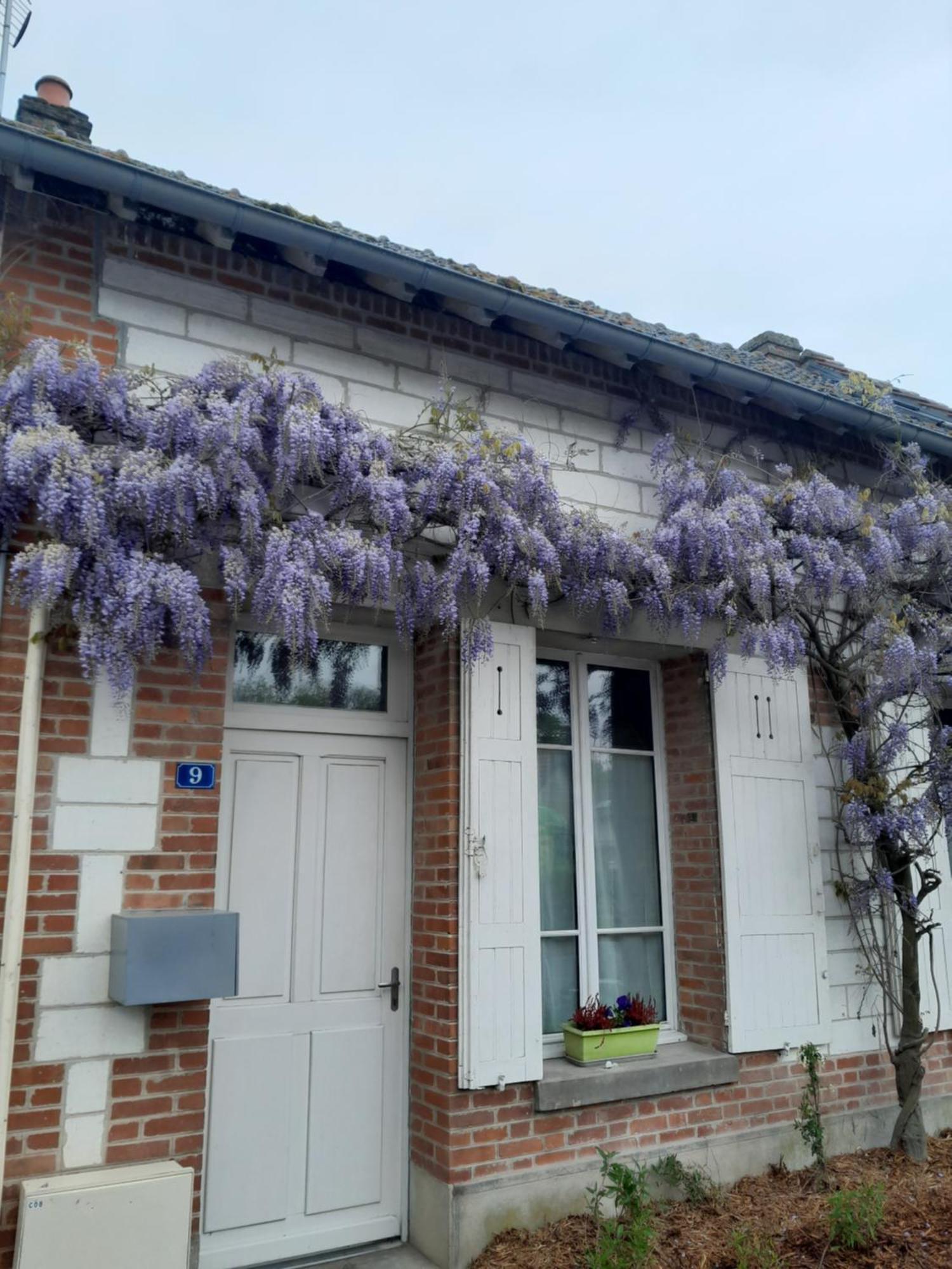 Gite, Maison A La Campagne Ardennes, Aisne,Marne Le Thour Pokój zdjęcie